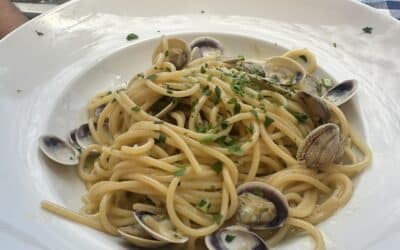 A Sneak Peek of our Culinary Adventure Through Italy.